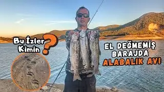 Barajda Yemli Oltalarla Alabalık Avı🐟Vahşi Hayvanların Ayak İzleri Arasında Balık Avı🐾