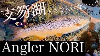 【前代未聞】26分でシコブラ３匹/3投！釣れる笑