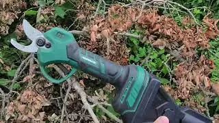 2-in-1 Cordless Electric Pruning Shears with Pole from Paowafol