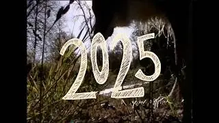 i spent 2025 offline