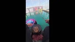 Challenge to catch 500 fish before ending the broadcast