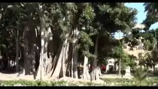 Piazza Marina - Palermo