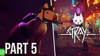 WHERE'S THE WORKER JACKET?!! || Stray Part 5