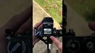&ldquo;Shooting Through the Nikon F3 Viewfinder: A Pure Manual Experience That Forces You to Think