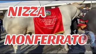 Fiera Bue Grasso Nizza Monferrato (AT) 2K23 presenti anche alcuni estremisti vegani 🤮🤮🤮🤮