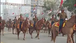 horse parade