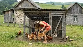 🔥 village life | village girl is cooking MIRZA QASEMI with love