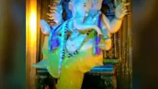 SAM rat55(3)