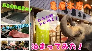 【長野 戸倉上山田温泉】亀屋本店に泊まってみた Kameya Honten