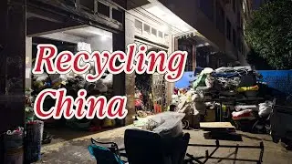 Recycling in China: How Much Is Waste Paper and Scrap Worth?