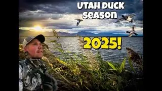 Utah Duck Season 2025: Best Moments So Far Teal, Divers, Early Season Action!