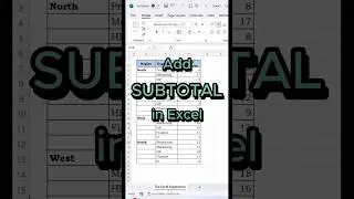 Add SUBTOTAL in EXCEL #excelfansonly #excelformula #theexcelexperience