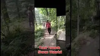 Sharan Forest Adventure: Trekking Towards Sharan Waterfall