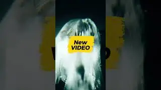 #hiphop #trailer #music #croatia #love #dance #balkan #new #MUSIC
