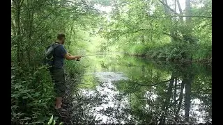 Exploring The Forgotten Ponds (Lure Fishing)