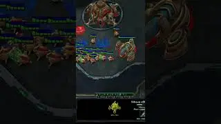 StarCraft 2. Бэмс! Момент со стрима. #sc2 #sc2memes #memes