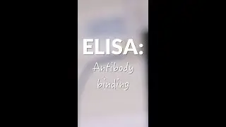 ELISA: antibody binding #shorts
