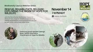 Rescue, Rehabilitate, Release: Exploring the Work of Hope for Wildlife