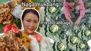 Eating simple curry with kingchilly pickle 🌶️🥵|fresh cabbage|Naga Mukbang 