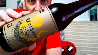 Vlog | THE PERFECT IPA?? | Stone City Uncharted IPA [Daily Drink #174]