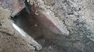 Siew bobiku siewnikiem GRUCHAWKA HORSCH FG 5.7M od 10 do 25cm