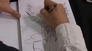 Saint Seiya: artbooks by Jérôme Alquié and dedication
