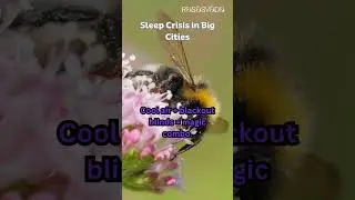 Sleep Crisis in Big Cities#CityInsomnia 🌆 #SleepTech 📱 #DigitalDetox📵#AncientWisdom📜#PeacefulNights🌌