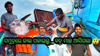Fishing Nets & Fishing Reel in Odisha Sea 🎣 | Big Fish Catch | Odisha Fishing Videos @odiapouaNakul