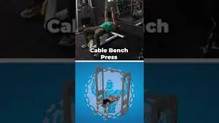 Cable Bench Press Bodybuilding Workout.🔥