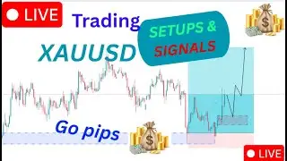 LIVE XAUUSD Trading 15/09/2025 Signals strategy #xauusd