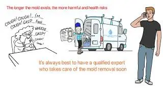 What is Mold Removal