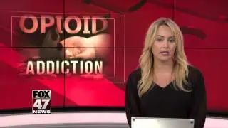 House OKs legislation to combat opioid addiction in Michigan