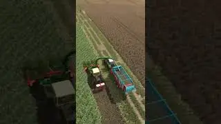 Mais Ballern #lsallg&auml;u #farmingsimulator25 #landwirtschaft #landwirtschaftssimulator25 #ls25 #fs25