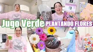 PLANTANDO FLORES🌷HACIENDO JUGO POR PRIMERA VEZ en mi NAMA  J2 JUICER