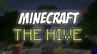 Minecraft Server Spotlights: The Hive Network