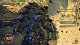 Monster Hunter Wilds 2026-01-17 23:23 Playing the Long Game (10:26)