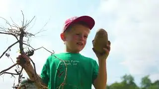 Abma's Farm Overview