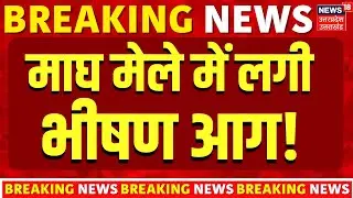 Magh Mela Fire Accident Live: माघ मेले में लगी भीषण आग, 2 टेंट जलकर खाक | Prayagraj | Breaking News