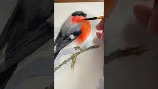 Watercolor Birds Sketchbook | Calm Painting Process  #short