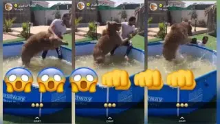 هواش اسامة الدغيري مع الدب 😂 و الدب زرف المسبح