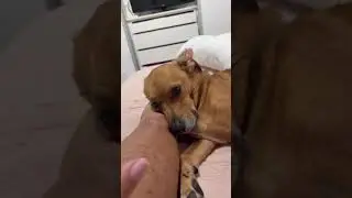 Márcia eu tomei banho semana passada, chegaaaaa!