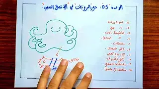 🛑أقوى شرح لوحدة الإتصال العصبي 🦑 🎯 .