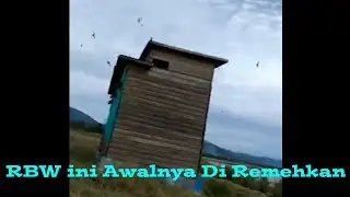 Banyak Yang Tidak Percaya Desain RBW ini Bisa Di Huni Ribuan Walet |  Desain Swiflet Farming House