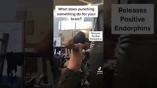 Punch for your mental clarity. #healty #wellness #fit #fitness #box #punch #workout #tiktok