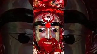 jay maa tara 🌺🙏🌺🙏🌺🙏