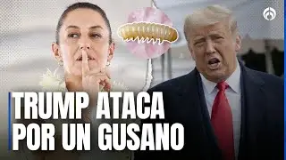El gusano de la discordia entre M&eacute;xico y EU: &iquest;plaga o cortina de humo?