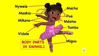 Body (mwili) parts in Swahili