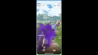 Shadow Skuntank to Swampert: NOT TODAY
