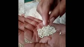 please be care full guys about the plastic rice....
