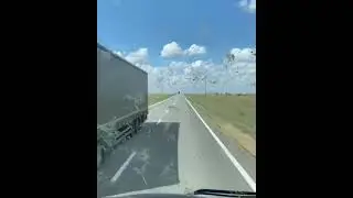 Саранча.
